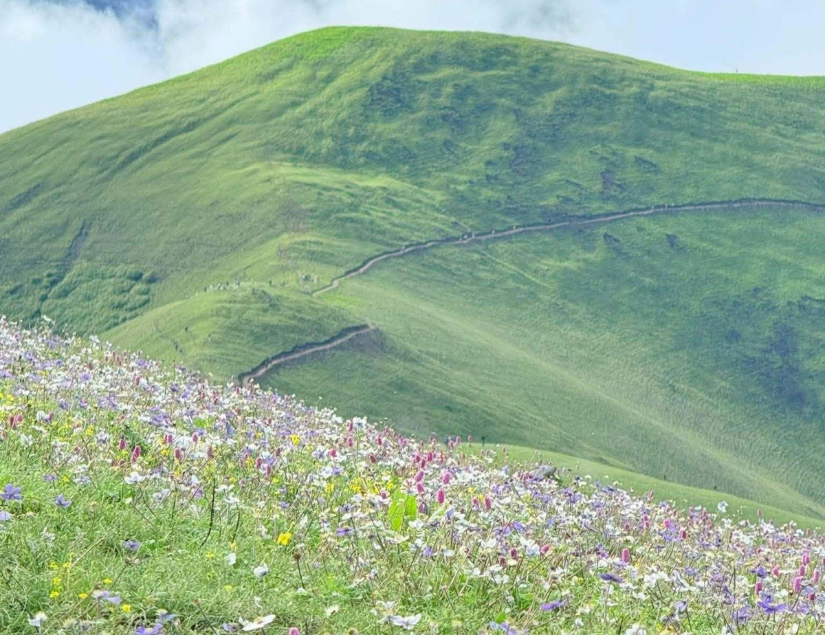 बागलुङको आकर्षक पर्यटकीय गन्तव्य चौरीखर्क
